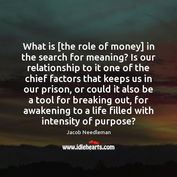 What is [the role of money] in the search for meaning? Is Jacob Needleman Picture Quote