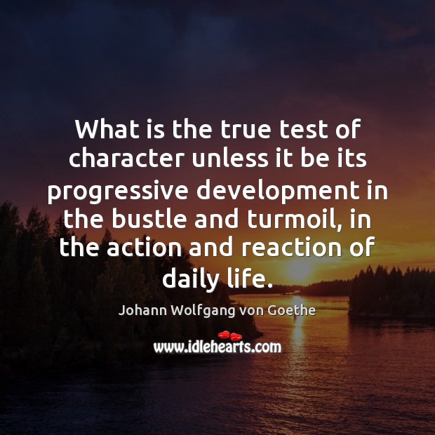 What is the true test of character unless it be its progressive Johann Wolfgang von Goethe Picture Quote