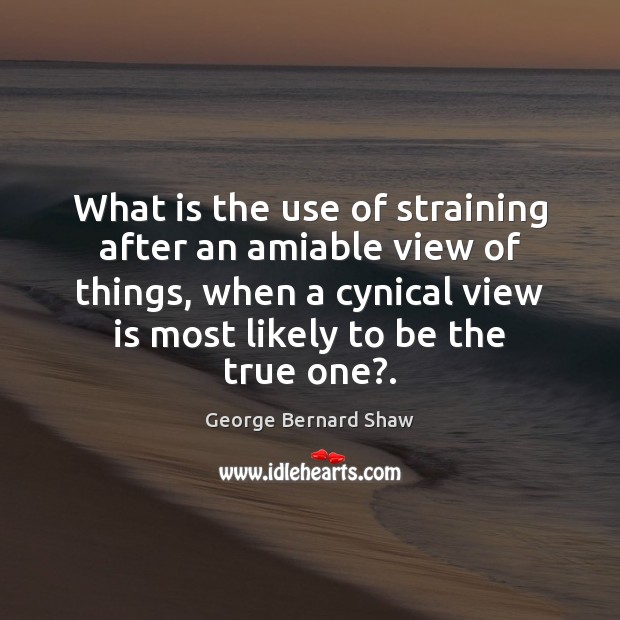 What is the use of straining after an amiable view of things, Image