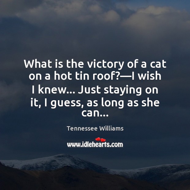 What is the victory of a cat on a hot tin roof?— 