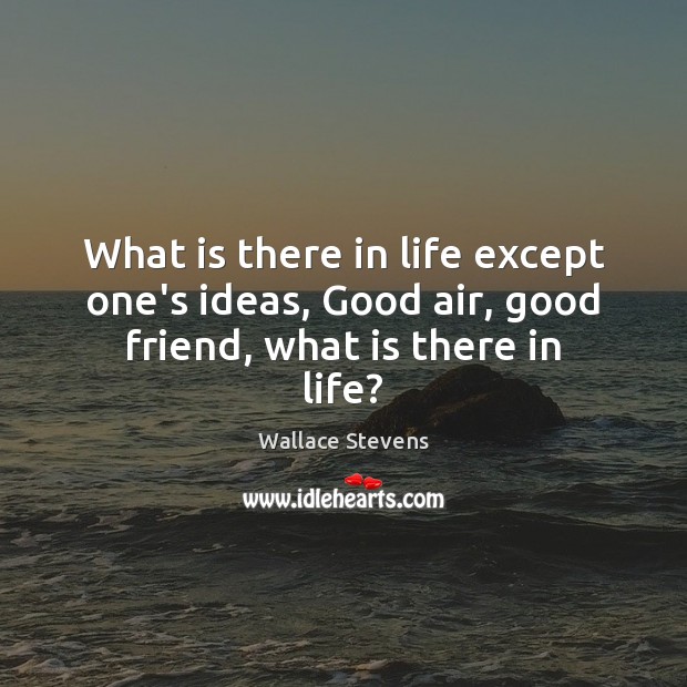 What is there in life except one’s ideas, Good air, good friend, what is there in life? Wallace Stevens Picture Quote