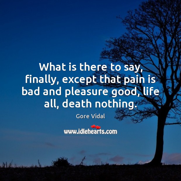 What is there to say, finally, except that pain is bad and Gore Vidal Picture Quote