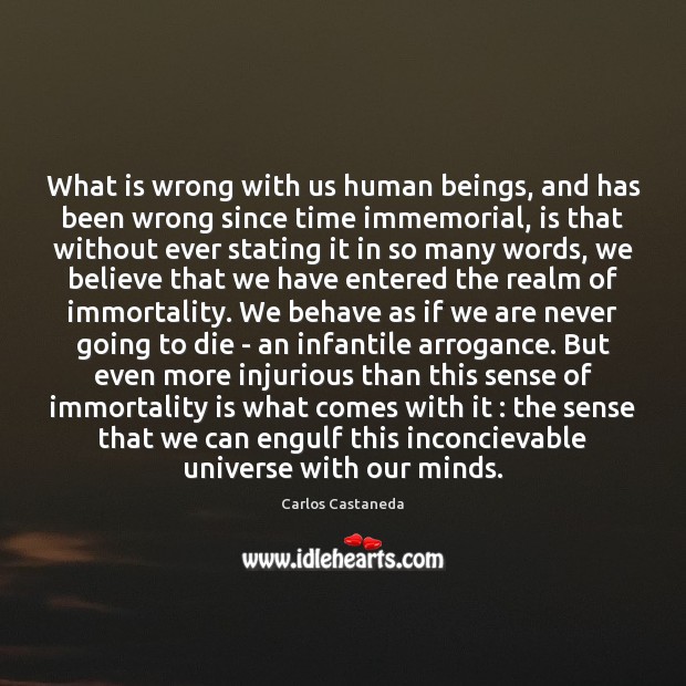 What is wrong with us human beings, and has been wrong since Carlos Castaneda Picture Quote