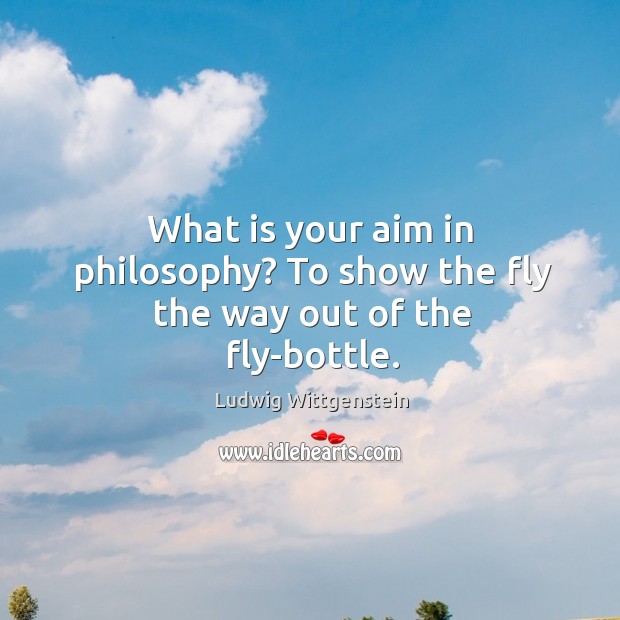 What is your aim in philosophy? to show the fly the way out of the fly-bottle. Image