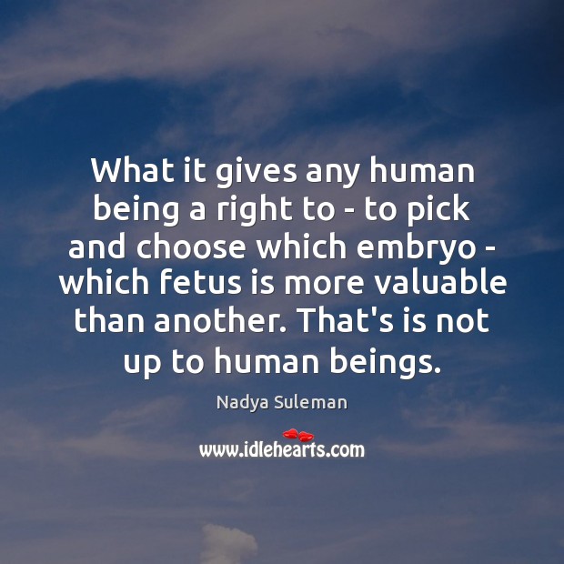 What it gives any human being a right to – to pick Nadya Suleman Picture Quote
