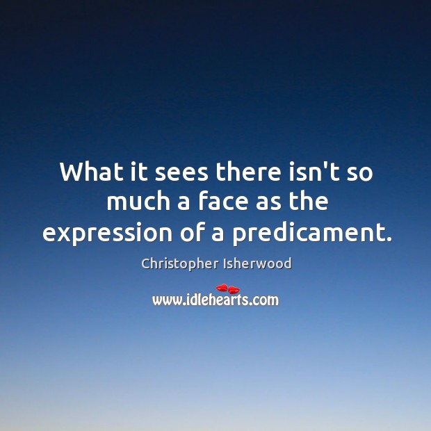 What it sees there isn’t so much a face as the expression of a predicament. Christopher Isherwood Picture Quote