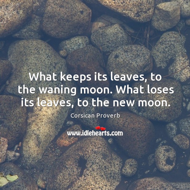 What keeps its leaves, to the waning moon. What loses its leaves, to the new moon. Image