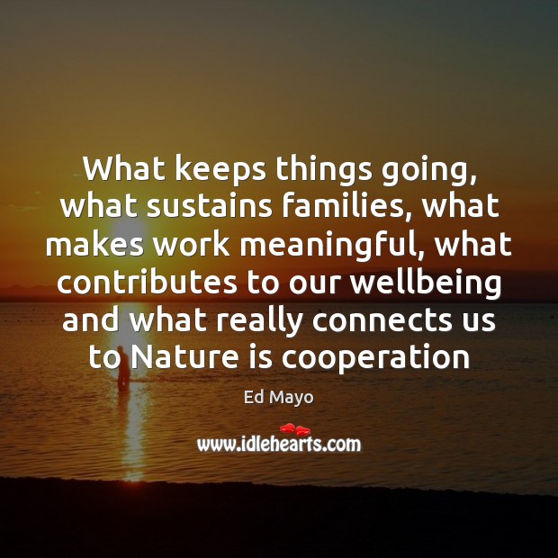 What keeps things going, what sustains families, what makes work meaningful, what Ed Mayo Picture Quote