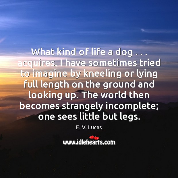 What kind of life a dog . . . acquires. I have sometimes tried to E. V. Lucas Picture Quote