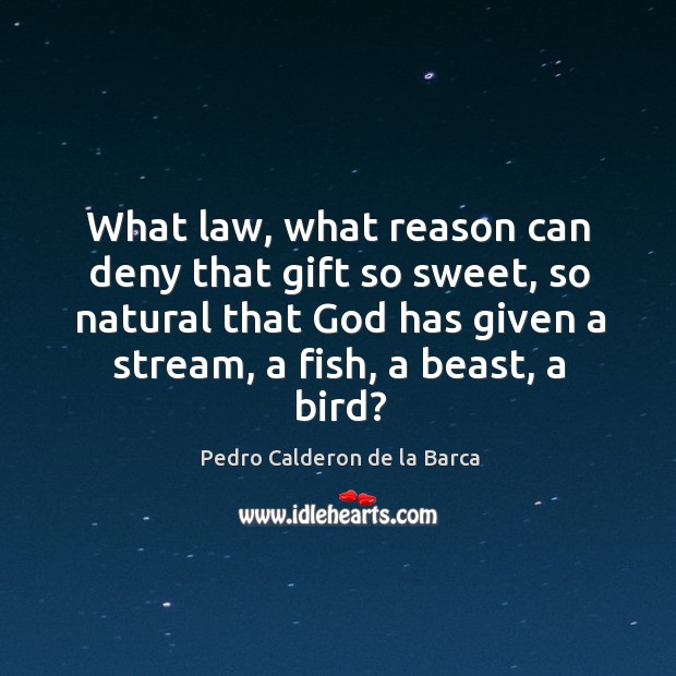 What law, what reason can deny that gift so sweet, so natural that God has given Pedro Calderon de la Barca Picture Quote