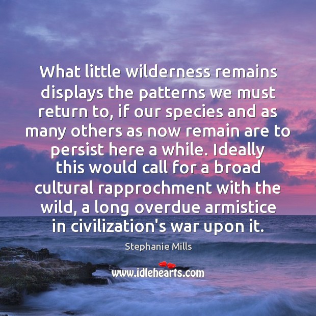 What little wilderness remains displays the patterns we must return to, if Stephanie Mills Picture Quote
