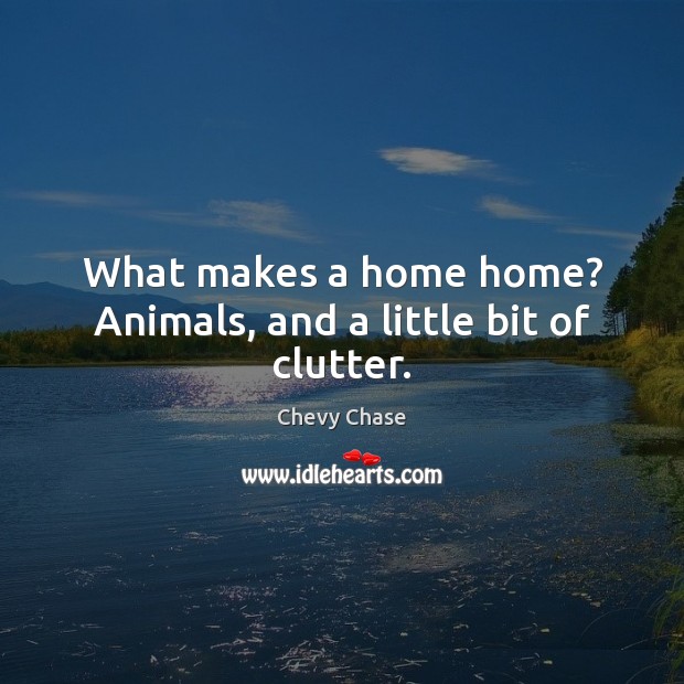 What makes a home home? Animals, and a little bit of clutter. Image