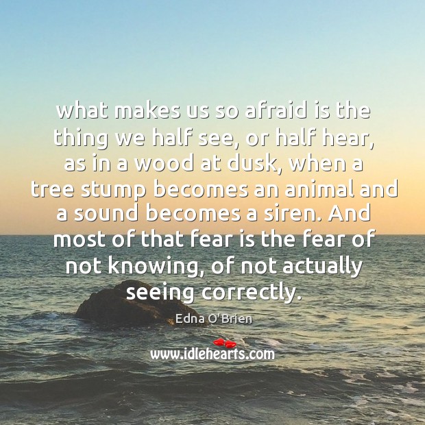 What makes us so afraid is the thing we half see, or Edna O’Brien Picture Quote