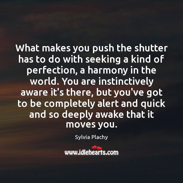 What makes you push the shutter has to do with seeking a Sylvia Plachy Picture Quote