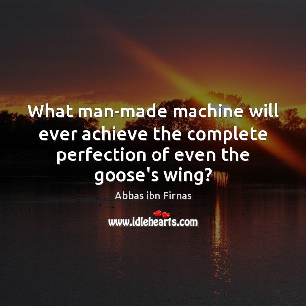 What man-made machine will ever achieve the complete perfection of even the goose’s wing? Image