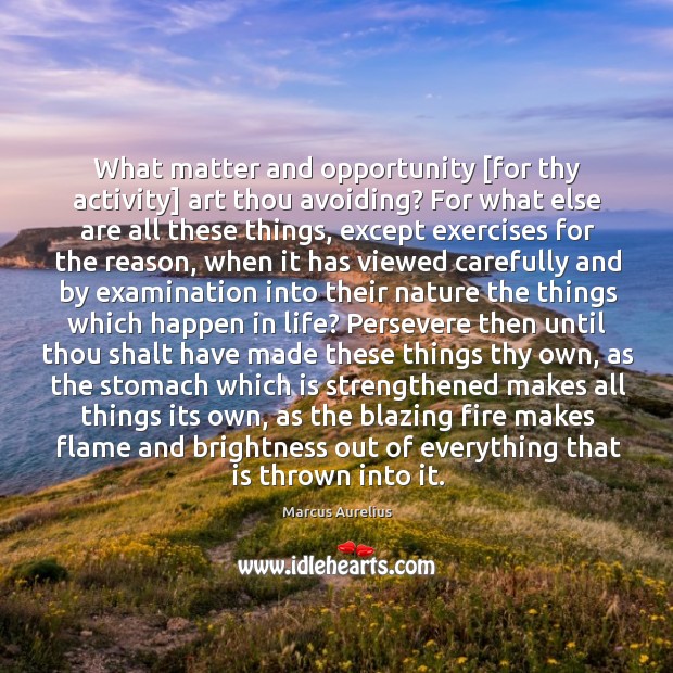 What matter and opportunity [for thy activity] art thou avoiding? For what Marcus Aurelius Picture Quote