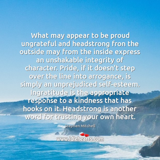 What may appear to be proud ungrateful and headstrong fron the outside Proud Quotes Image