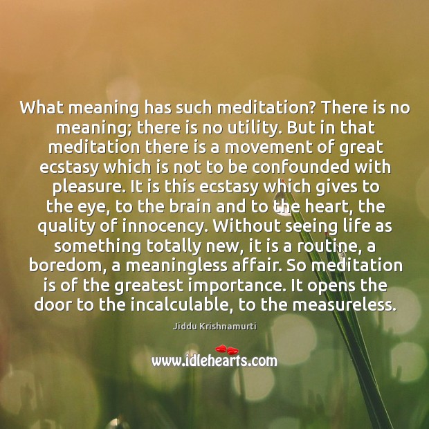 What meaning has such meditation? There is no meaning; there is no Jiddu Krishnamurti Picture Quote
