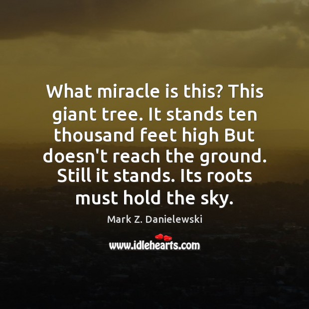 What miracle is this? This giant tree. It stands ten thousand feet Mark Z. Danielewski Picture Quote