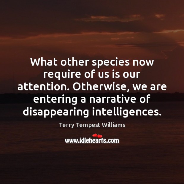 What other species now require of us is our attention. Otherwise, we Terry Tempest Williams Picture Quote