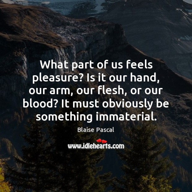 What part of us feels pleasure? Is it our hand, our arm, Image