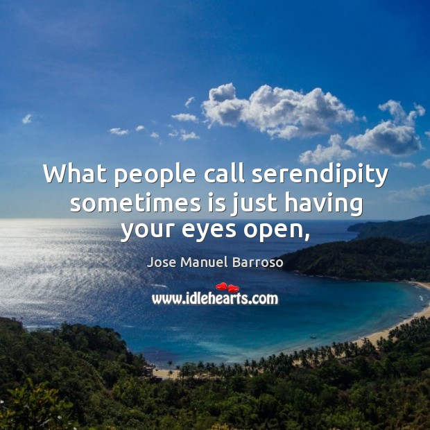 What people call serendipity sometimes is just having your eyes open, Jose Manuel Barroso Picture Quote