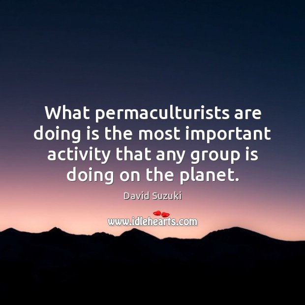 What permaculturists are doing is the most important activity that any group David Suzuki Picture Quote