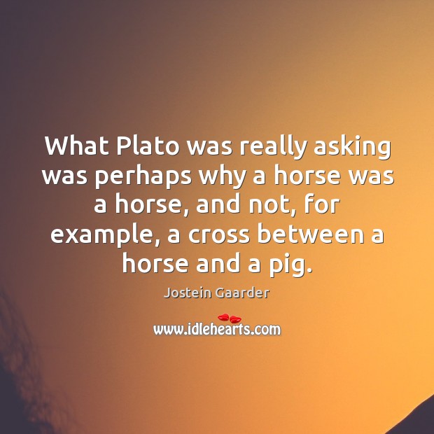 What Plato was really asking was perhaps why a horse was a Jostein Gaarder Picture Quote
