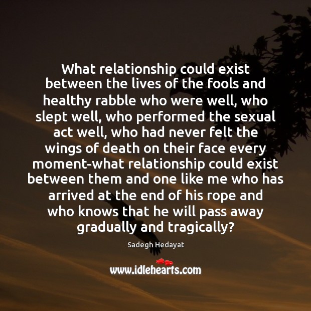 What relationship could exist between the lives of the fools and healthy Sadegh Hedayat Picture Quote