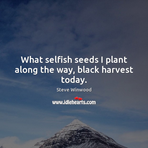 What selfish seeds I plant along the way, black harvest today. Steve Winwood Picture Quote