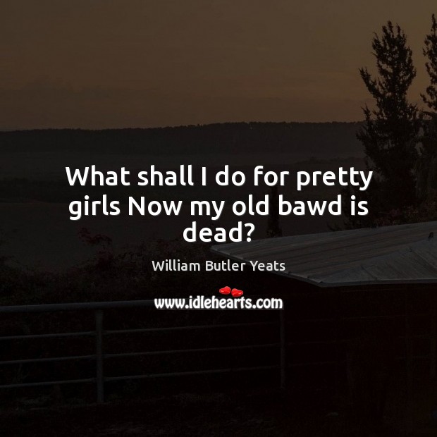 What shall I do for pretty girls Now my old bawd is dead? William Butler Yeats Picture Quote