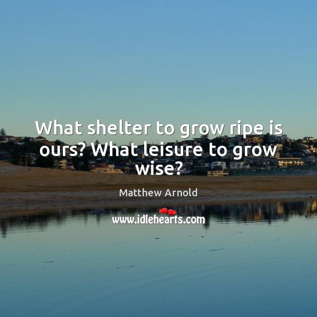 What shelter to grow ripe is ours? What leisure to grow wise? Matthew Arnold Picture Quote