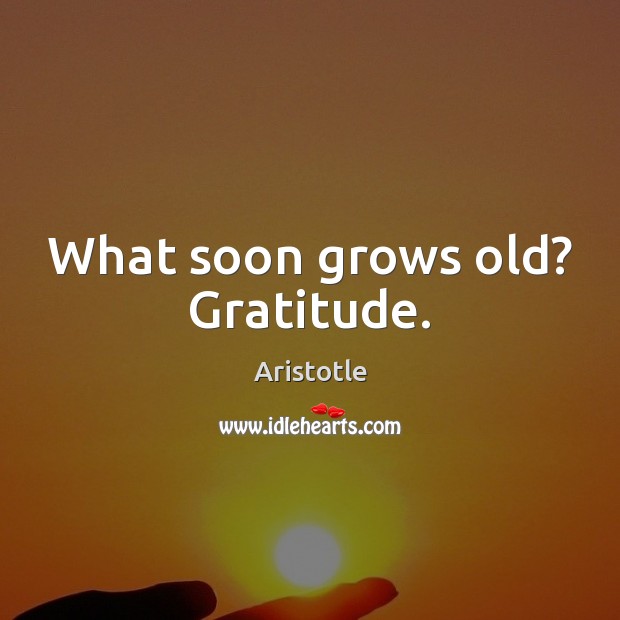 What soon grows old? Gratitude. Image