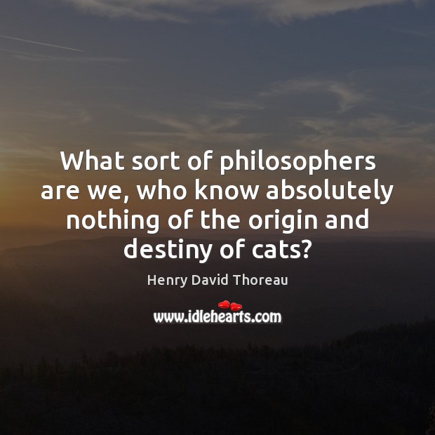 What sort of philosophers are we, who know absolutely nothing of the Image