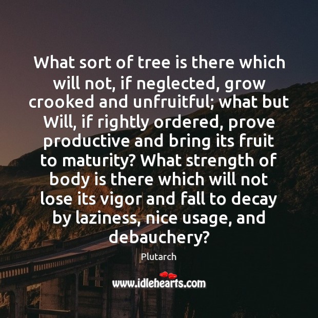 What sort of tree is there which will not, if neglected, grow Plutarch Picture Quote