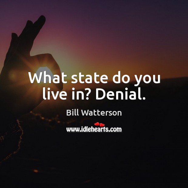 What state do you live in? Denial. Bill Watterson Picture Quote