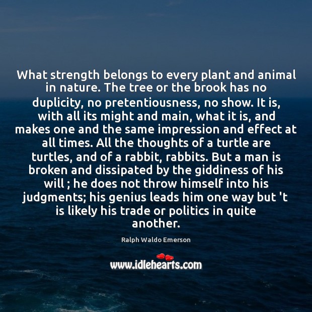 What strength belongs to every plant and animal in nature. The tree Politics Quotes Image