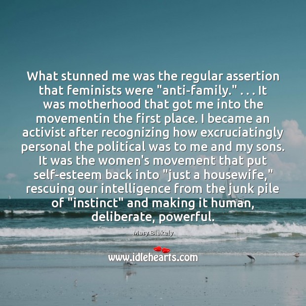 What stunned me was the regular assertion that feminists were “anti-family.” . . . It Mary Blakely Picture Quote
