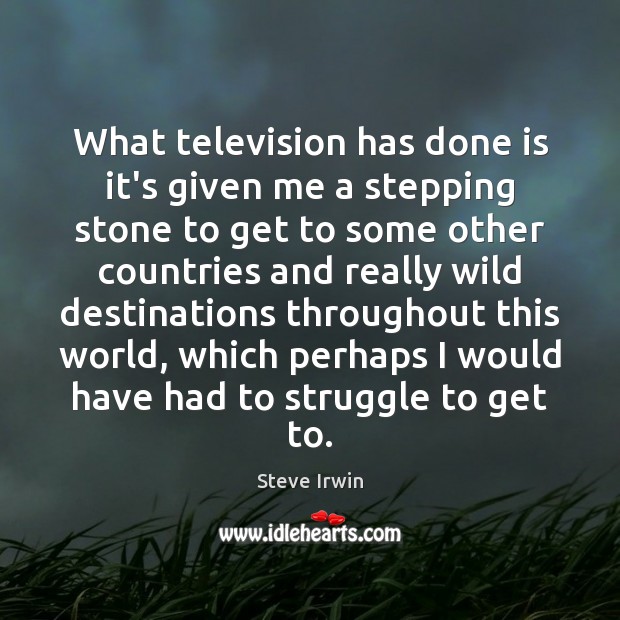 What television has done is it’s given me a stepping stone to Steve Irwin Picture Quote