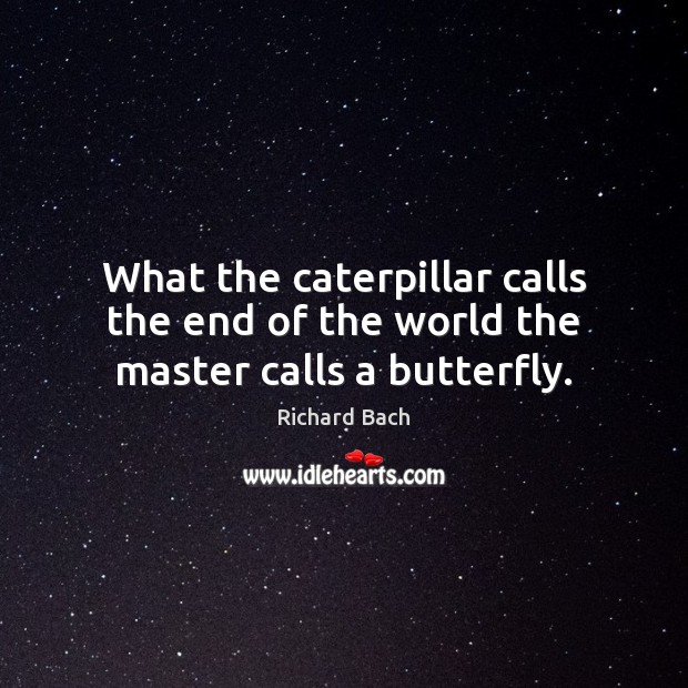 What the caterpillar calls the end of the world the master calls a butterfly. Richard Bach Picture Quote