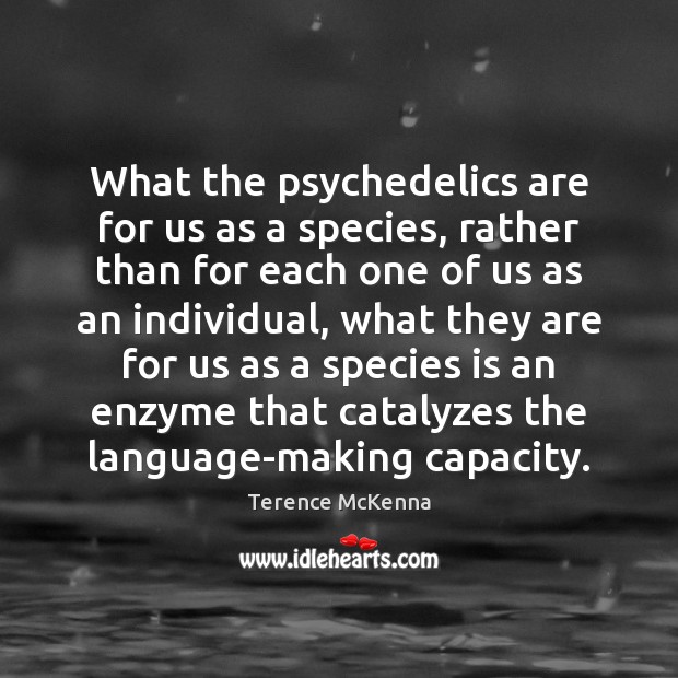 What the psychedelics are for us as a species, rather than for Terence McKenna Picture Quote