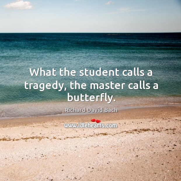 What the student calls a tragedy, the master calls a butterfly. Richard David Bach Picture Quote