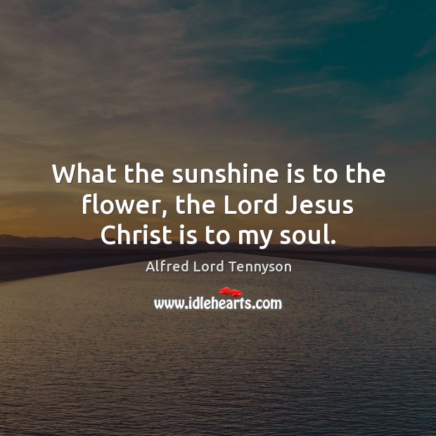 What the sunshine is to the flower, the Lord Jesus Christ is to my soul. Alfred Lord Tennyson Picture Quote