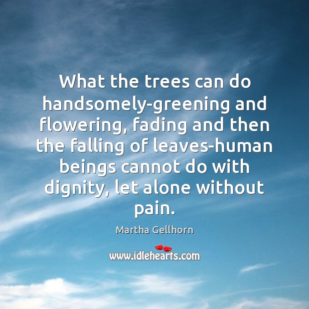 What the trees can do handsomely-greening and flowering, fading and then the Martha Gellhorn Picture Quote