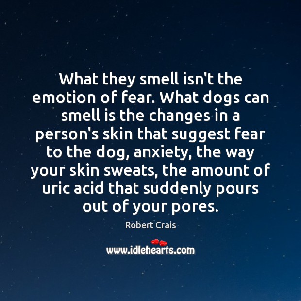 What they smell isn’t the emotion of fear. What dogs can smell Robert Crais Picture Quote