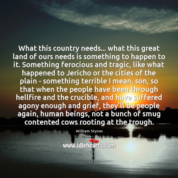 What this country needs… what this great land of ours needs is William Styron Picture Quote