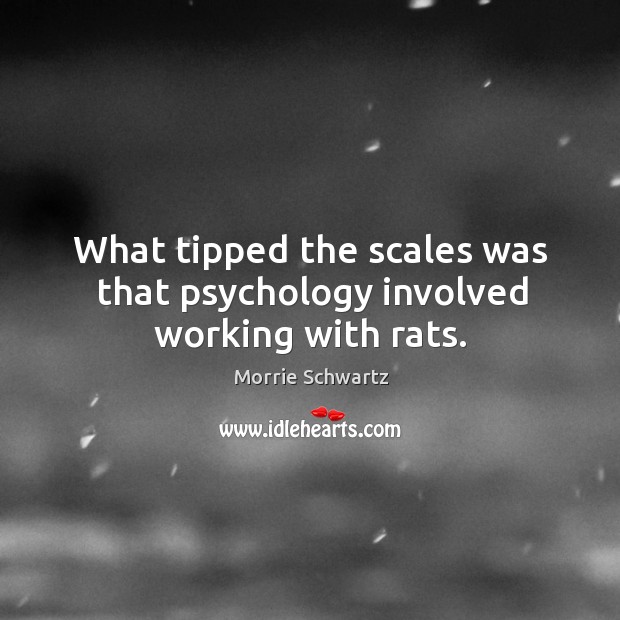 What tipped the scales was that psychology involved working with rats. Image