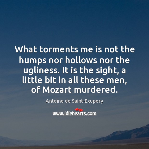 What torments me is not the humps nor hollows nor the ugliness. Antoine de Saint-Exupery Picture Quote