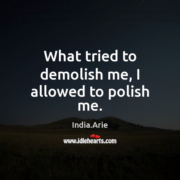 What tried to demolish me, I allowed to polish me. 
