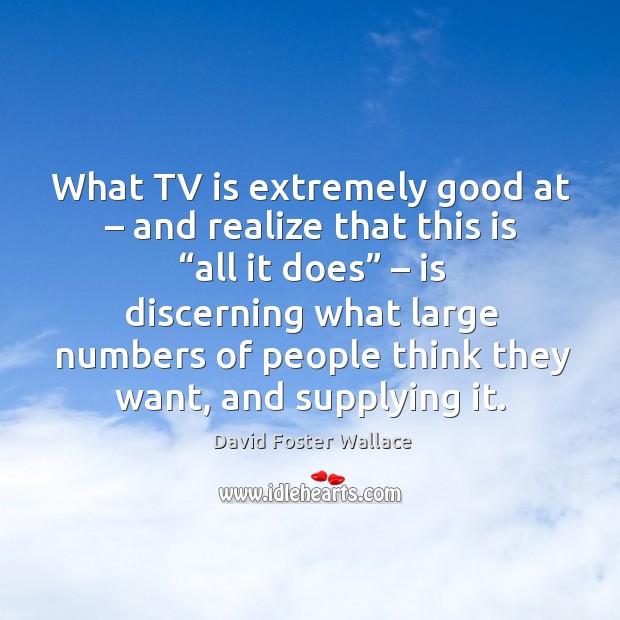 What tv is extremely good at – and realize that this is “all it does” – is discerning what David Foster Wallace Picture Quote